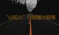 “山陀儿”已加强为超强台风,粤东海域渔船请于今日18时前回港避风
